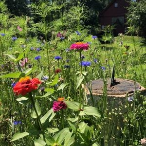 Meet your Posher, Josephine